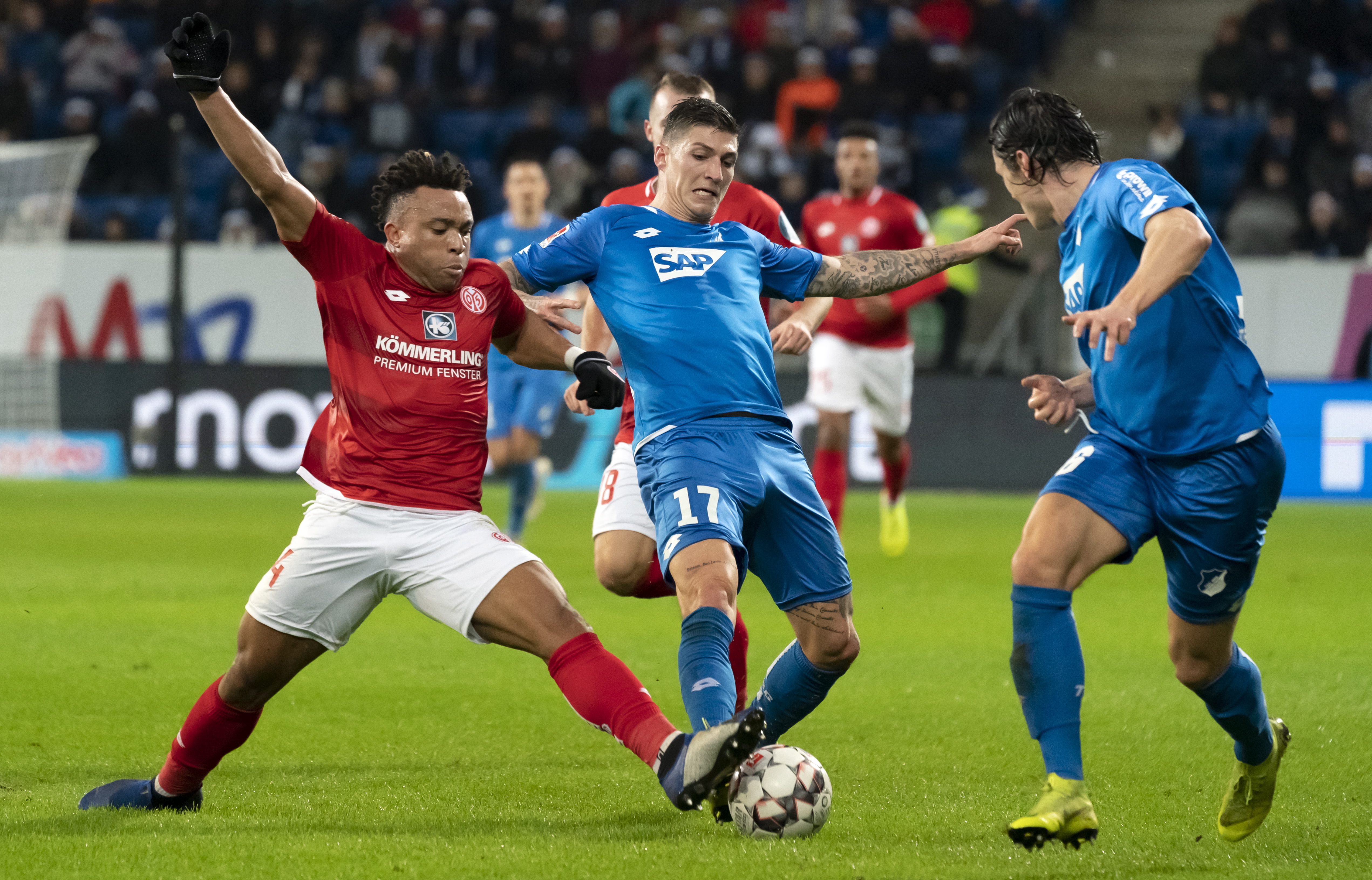 王楚钦与高 王楚钦与高