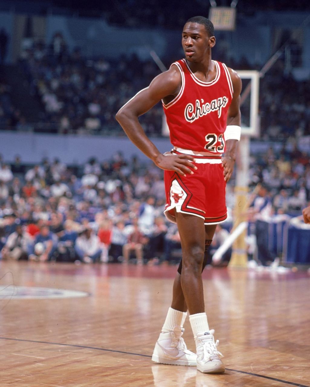 前景展望 前景展望