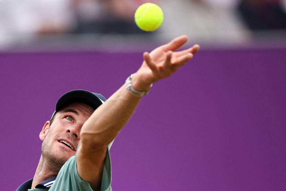 有人已经在 有人已经在