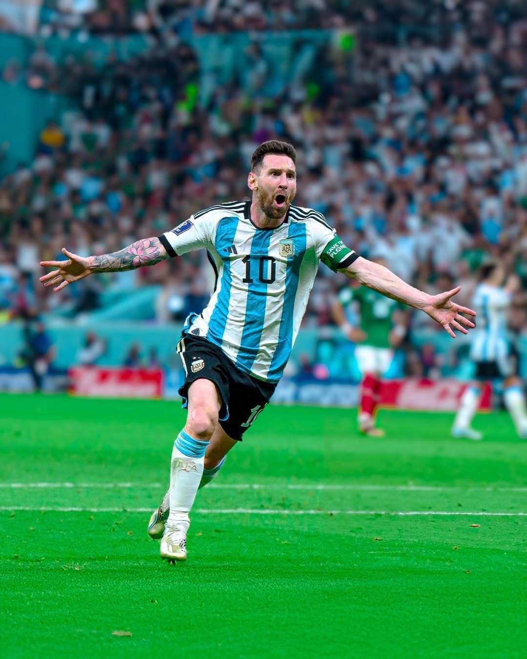 马的关系一 马的关系一