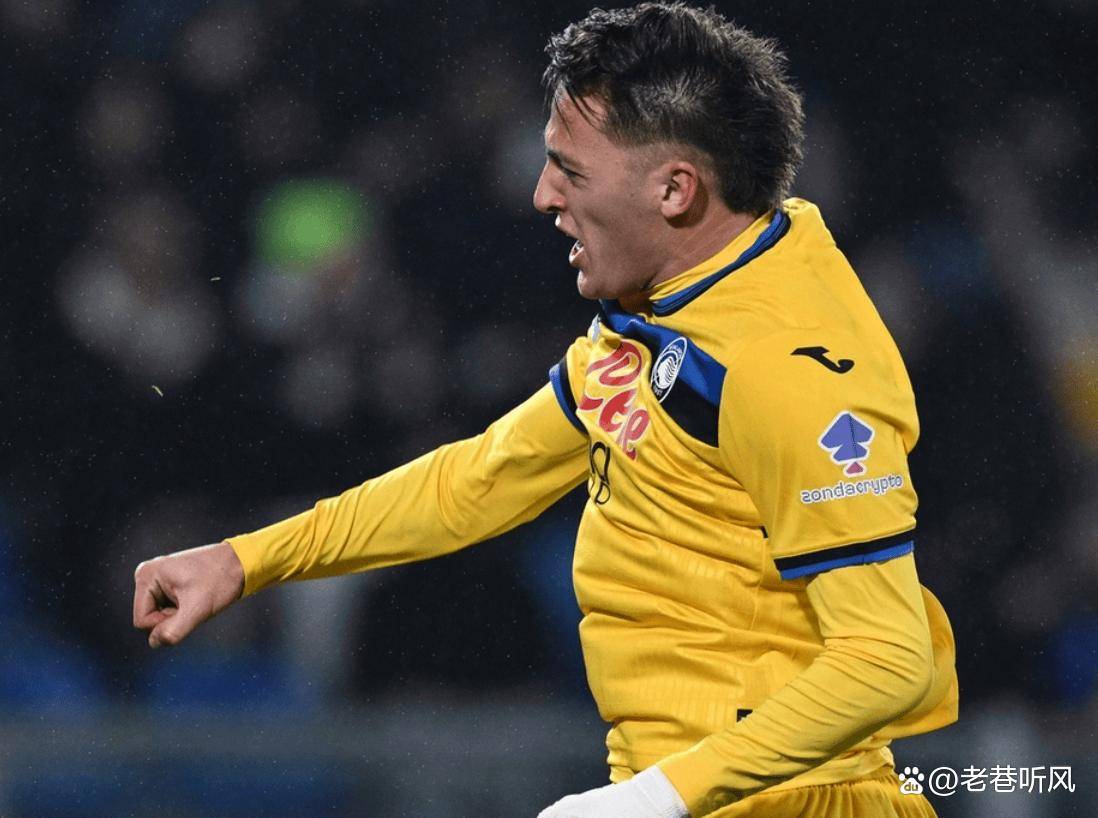 安赛龙的 安赛龙的